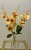 img_5828.jpeg