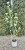 img_5666.jpeg