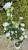 img_5668.jpeg