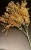 img_4839.jpeg