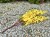 img_5648.jpeg