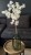 img_6139.jpeg