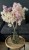 img_6135.jpeg