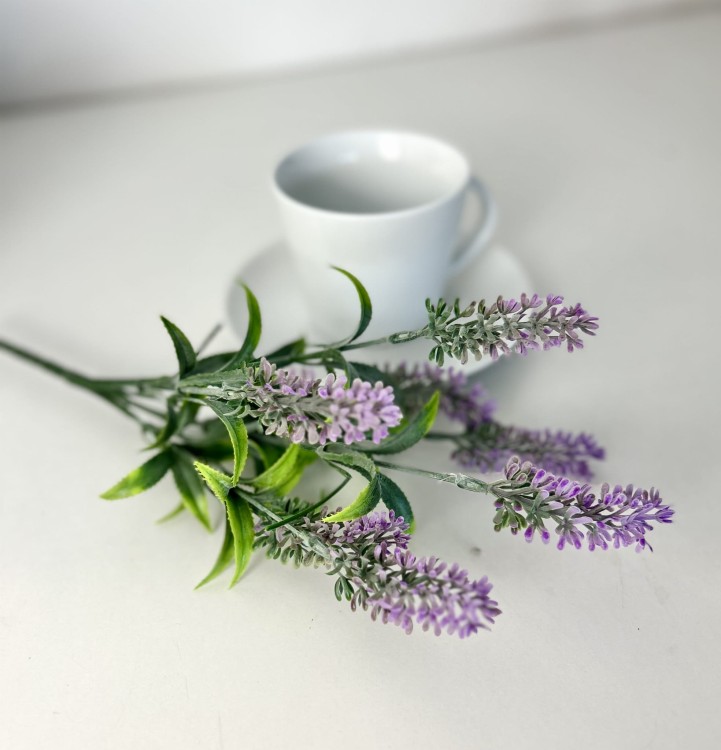 img_0209.jpeg