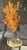 img_6192.jpeg