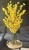 img_6191.jpeg