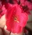 img_6190.jpeg
