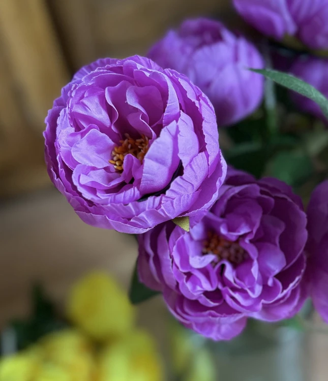 img_5958.jpeg