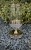 img_7167.jpeg
