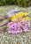 06hxi7br.png
