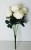image_19_2.jpeg