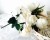 image_15_30.jpeg