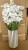 img_0266.jpeg