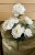img_0219.jpeg