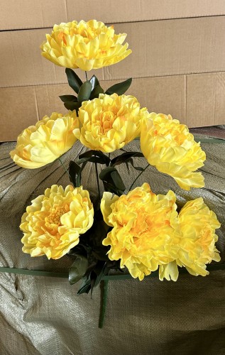 img_0216.jpeg