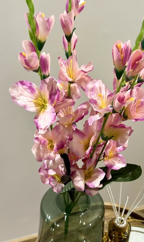 img_5967.jpeg
