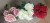 img_1412.jpeg