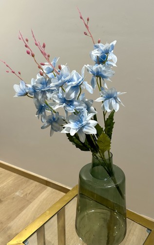 img_5791.jpeg