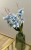 img_5791.jpeg