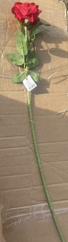 img_0507.jpeg