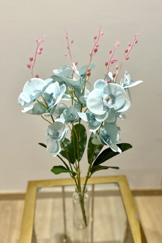 img_5831.jpeg