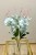 img_5831.jpeg