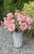 img_1711.jpeg