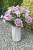img_1717.jpeg