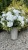 img_1726.jpeg