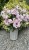 img_1727.jpeg