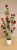 img_1750_1.jpeg