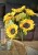 img_6806.jpeg