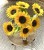 img_6803.jpeg
