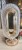 img_9461.jpeg