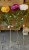 img_2309.jpeg