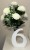img_4491.jpeg