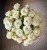 img_8407.jpeg