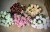 img_8402.jpeg