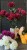IMG_3002.jpeg