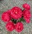 IMG_3067.jpeg